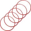 Agility Sports Anelli Per La Coordinazione ⌀48 Cm Set Da 5 228046