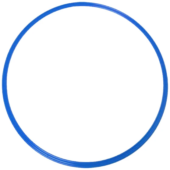 Agility Sports Anelli Per La Coordinazione ⌀48 Cm Set Da 5 228510 2 Agility Sports Anelli Per La Coordinazione ⌀48 Cm Set Da 5 228510 - immagine 2