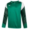 PUMA Esito 4 Bambini Felpa Per L'allenamento 655222-05Y