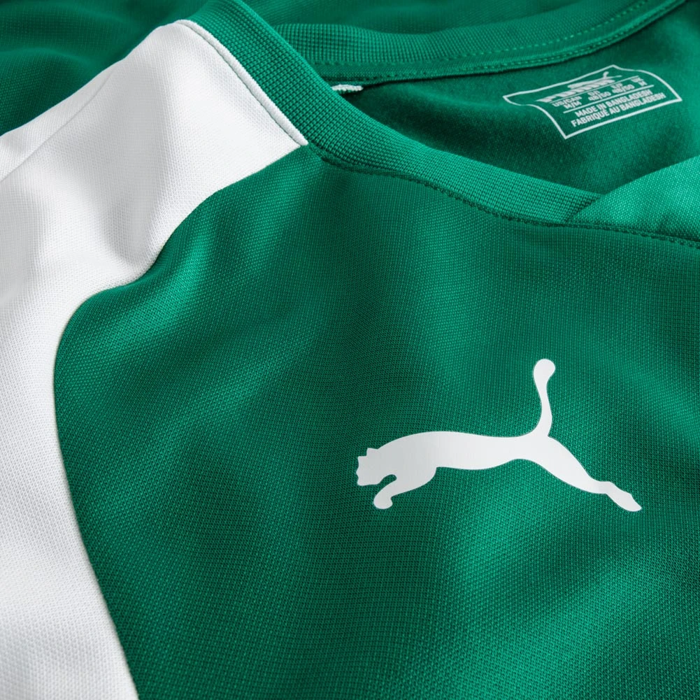 PUMA Esito 4 Bambini Felpa Per L'allenamento 655222-05Y 2 PUMA Esito 4 Bambini Felpa Per L'allenamento 655222-05Y - immagine 2