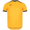 PUMA FtblNXT Graphic Maglietta Uomo Maglia 657007-04