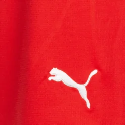 PUMA V5.06 Donna Pantaloncini Per L'allenamento 700283-02 -Negozio al dettaglio Zeus 700283 02 4