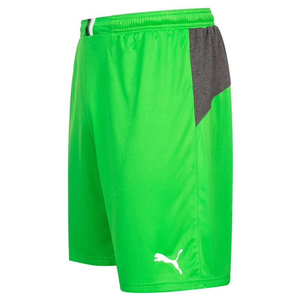 PUMA King Uomo Pantaloncini Da Portiere 701701-43 2 PUMA King Uomo Pantaloncini Da Portiere 701701-43 - immagine 2