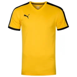 Maglia Manica Corta PUMA Pitch Jersey 702070-07