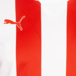 PUMA Striped Uomo Maglia A Maniche Lunghe 702086-01 7 PUMA Striped Uomo Maglia A Maniche Lunghe 702086-01 -Negozio al dettaglio Zeus 702086 01 4