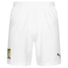 Camerun PUMA Uomo Pantaloncini Per L'allenamento 752332-02