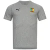 Camerun PUMA Casual Performance Uomo T-shirt 752363-08