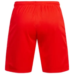 Borussia Dortmund BVB PUMA Bambini Pantaloncini Da Portiere 757180-06 -Negozio al dettaglio Zeus 757180 06 3