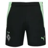 Borussia Mönchengladbach PUMA Bambini Pantaloncini Per L'allenamento 759969-03