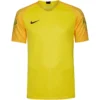 Nike Gardien II Uomo Maglia Da Portiere 894512-719