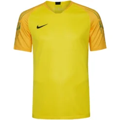 Nike Gardien II Uomo Maglia Da Portiere 894512-719