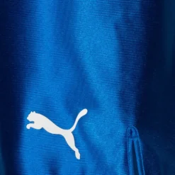 PUMA Game Uomo Pantaloncini Brillanti 900410-04 -Negozio al dettaglio Zeus 900410 04 4